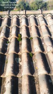 Photo nettoyage et protection de toiture