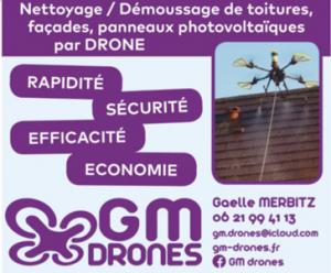 Photo Nettoyage, Démoussage de toitures et façades par drone