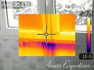 Photo Thermographie Infrarouge