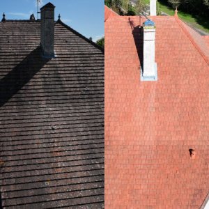 Photo Démoussage de toiture